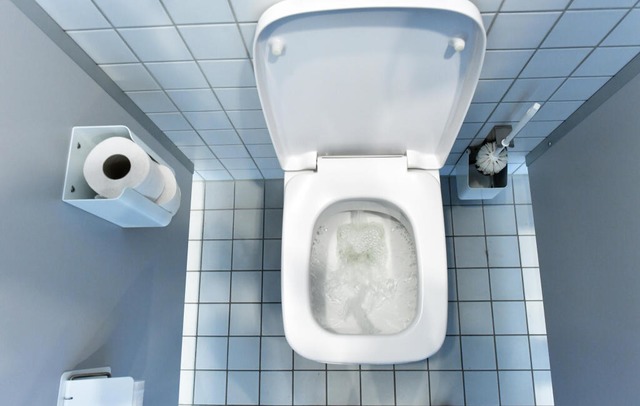 So schön kann eine Toilette sein - in ...ballstadien sieht es meist anders aus. | Foto: Ralf Hirschberger (dpa) So schön kann eine Toilette sein - in ...ballstadien sieht es meist anders aus. | Foto: Ralf Hirschberger (dpa)