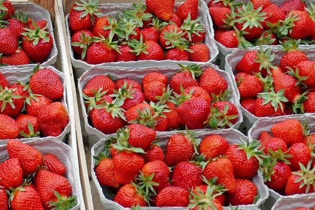 Auf dem Freiburger Mnstermarkt gibt es die ersten Erdbeeren aus der Region