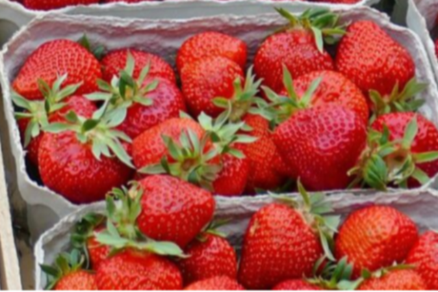 Auf dem Freiburger Münstermarkt gibt es die ersten Regio-Erdbeeren