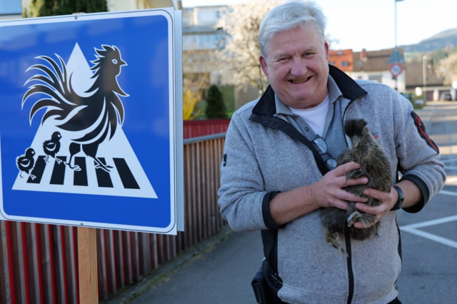 In Kirchzarten gibt es einen Zebrastreifen fr Hhner