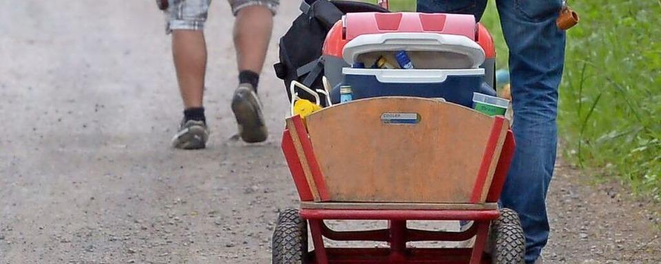Bollerwagen im Europa-Park gestohlen
