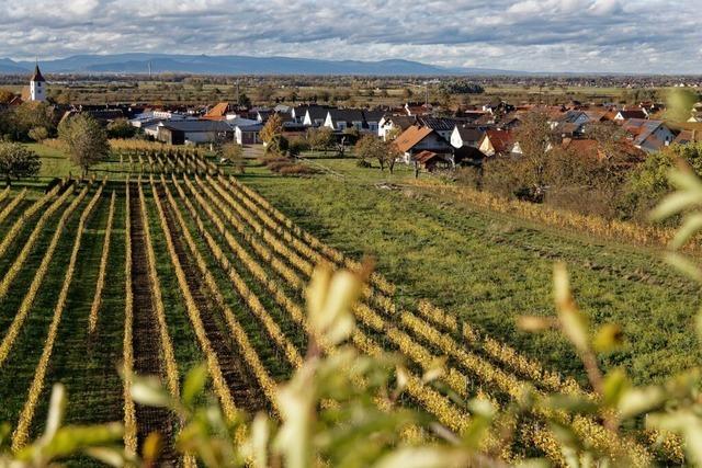 In Knigschaffhausen entsteht neues Bauland - die nderung des Flchennutzungsplans steht