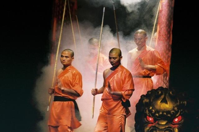 Warum lernen manche Menschen Kung Fu?
