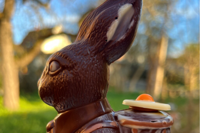 Die Schokoladenpreise steigen - im Hochschwarzwald werden trotzdem Osterhasen gekauft