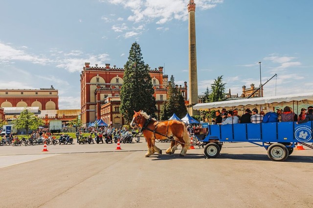 In der Kutsche kann man das Gelnde der Brauerei erkunden.  | Foto: Markus Raub - RMP Media Producti