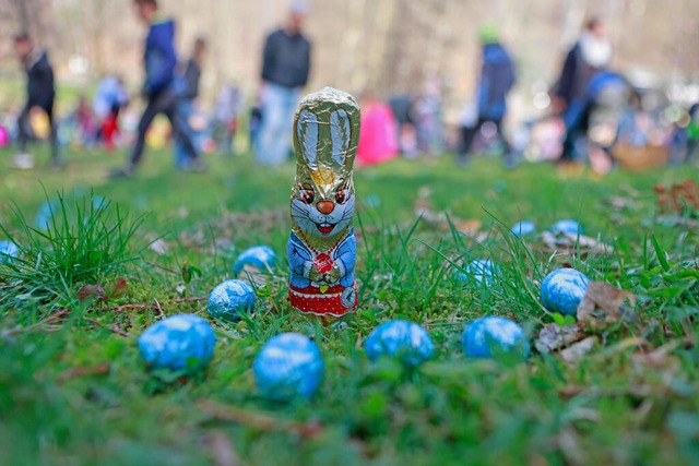 Das Wetter soll am Ostersonntag vor allem am Vormittag gut werden.  | Foto: Matthias Bein (dpa)