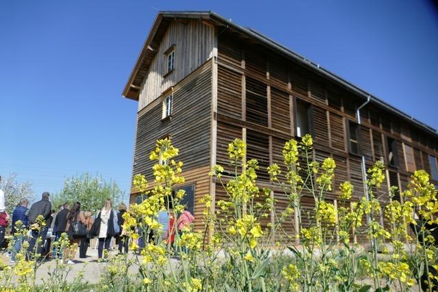 Es geht vorwrts beim Umbau einer alten Tabakscheune in Schutterzell zum Familiendomizil