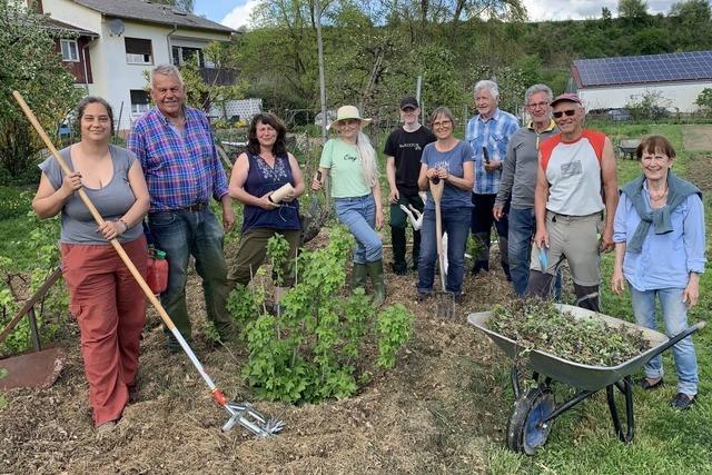 Wie der Samengarten in Eichstetten die biologische Vielfalt bewahrt