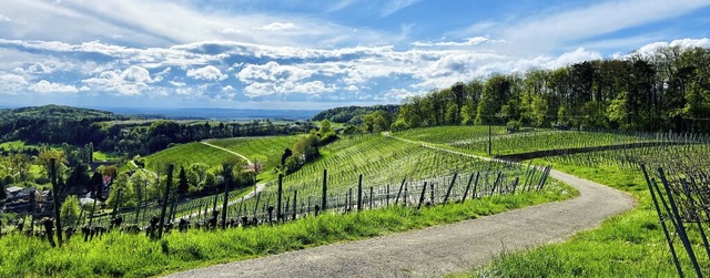   | Foto: Michael Bechtold