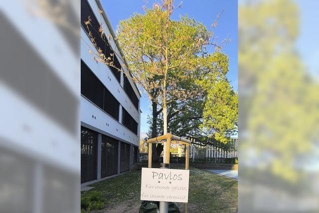 Ein Baum auf dem Schulhof erinnert jetzt an Pavlos