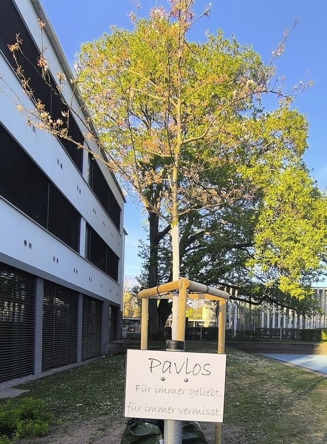 Baum und Inschrift fr Pavlos  | Foto: Stadt Offenburg