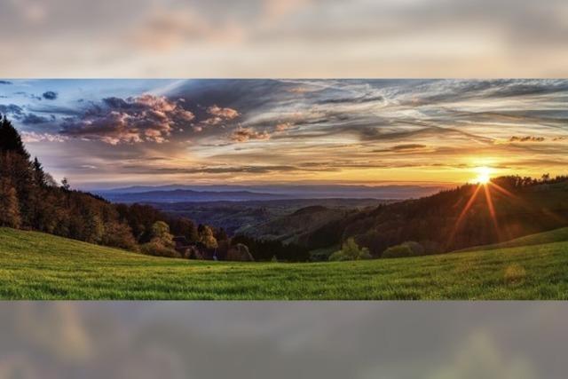 Foto des Tages