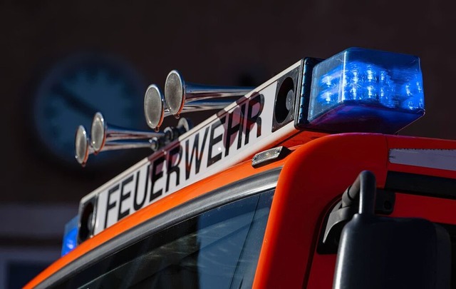 Die Freiwillige Feuerwehr Zell war am Karfreitag im Einsatz (Symbolfoto).  | Foto: Marijan Murat (dpa)
