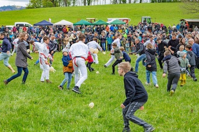 Beim Eierspringen in Eichen waren wieder die Eierdiebe unterwegs