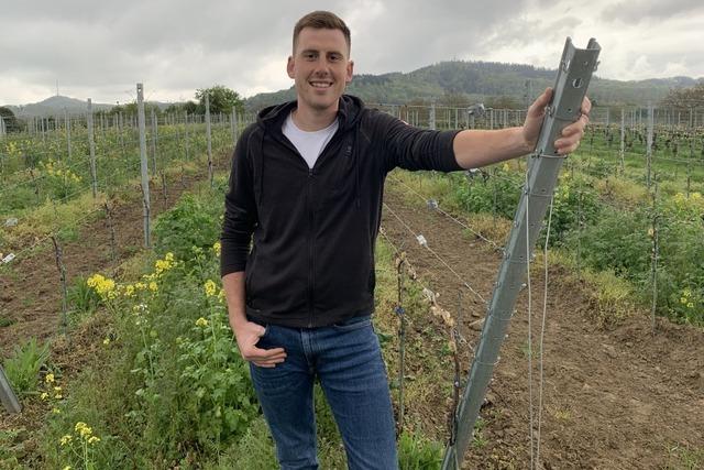 Junger Vorsitzender des Btzinger Winzerkreises: "Ich bin auch weiterhin optimistisch"