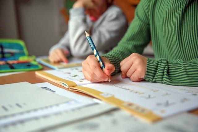 Die Sommerbergschule in Buchenbach startet im September mit einem freiwilligen Ganztagsangebot