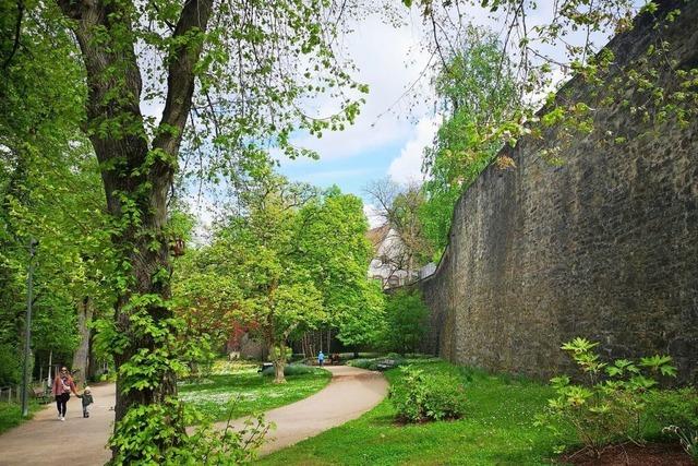 Erneuerter Mühlbachpfad soll eine Verbindung von der Innenstadt uim Landesgartenschaugelände schaffen