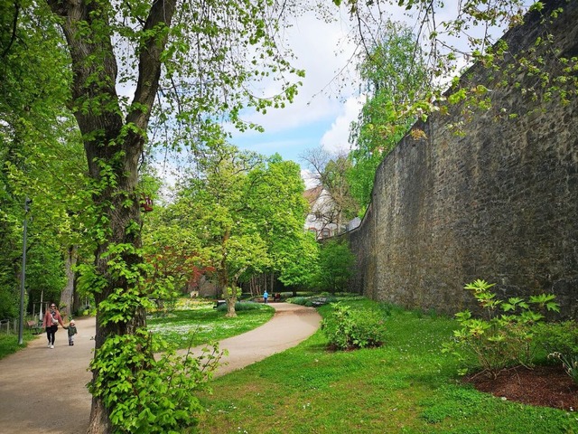 Der idyllischste Teil des Stadtmauerru...gehbschten und erblhten  Zwingerpark  | Foto: Ralf Burgmaier