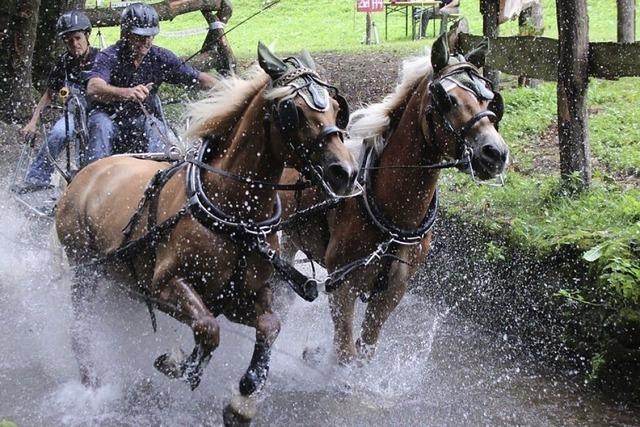 Mit Leidenschaft fr den Fahrsport