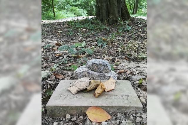 Erste Bestattungen sind ab Juli im Ruhewald mglich