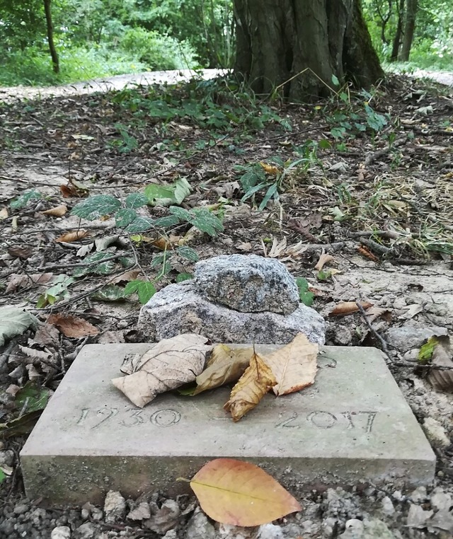 So könnte ein Urnengrab im Ruhewald aussehen. | Foto: Ulrike Derndinger So könnte ein Urnengrab im Ruhewald aussehen. | Foto: Ulrike Derndinger