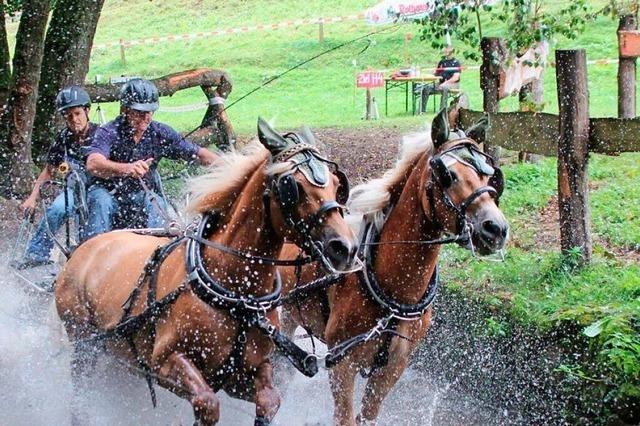 Bernhard Riesterer aus Mnstertal ist mit seinen Pferden sportlich erfolgreich