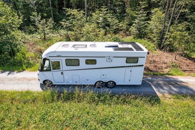 Beschdigter Spiegel hat fr Lastwagenfahrer vor St. Blasier Amtsgericht ernste Folgen