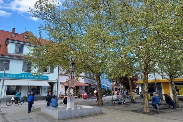Diese Tipps der Rheinfelder Innenstadtberatung sollen umgesetzt werden