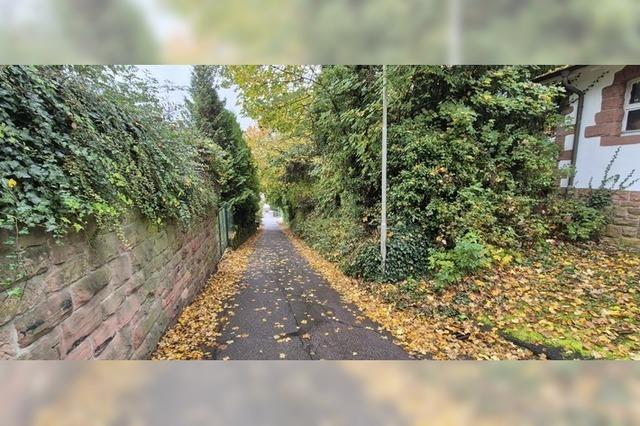 Die Lahrer Brgerinitiative Hochstrae ist ber die Plne des Investors irritiert