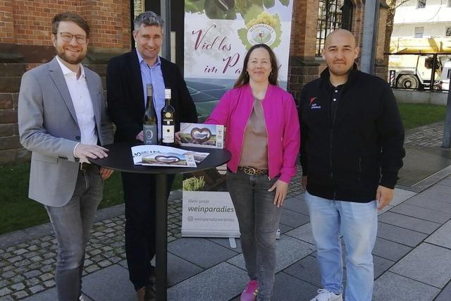 Weinmacher prsentieren den 2024er