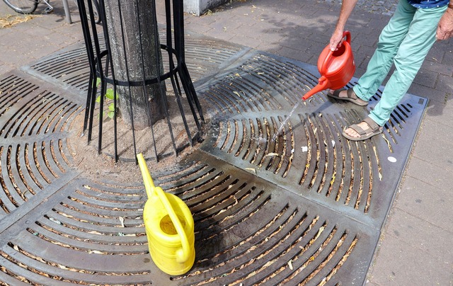 Baumpatenschaften helfen durstigen Stadtb&auml;umen.  | Foto: Jan Woitas/dpa-Zentralbild/dpa