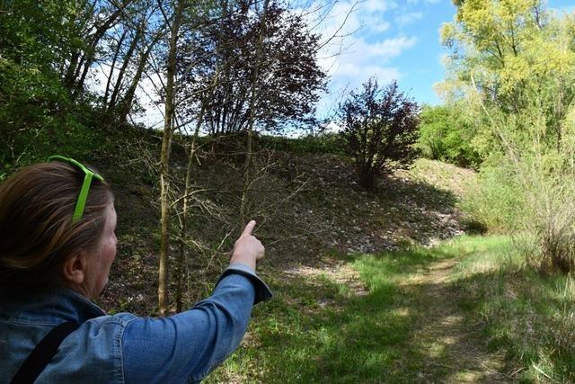 Das Biotop in der ehemaligen Kiesgrube in Grenzach-Wyhlen braucht mehr Pflege