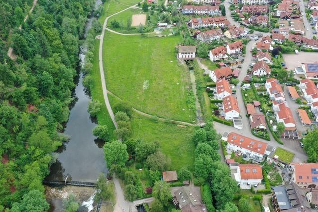 Neuer Anlauf fr die umstrittene Bebauung der Grnflche im Schopfheimer Bremt