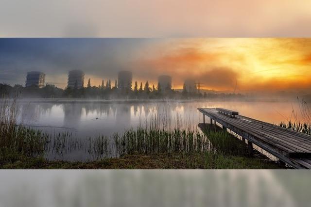 Eine Malerei aus Nebel, Licht und Wasser