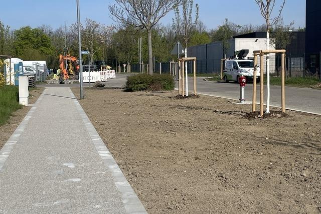 Aus Asphalt wird Grn: Gewerbepark Breisgau investiert 2025 bis zu 150.000 Euro in Entsiegelungen