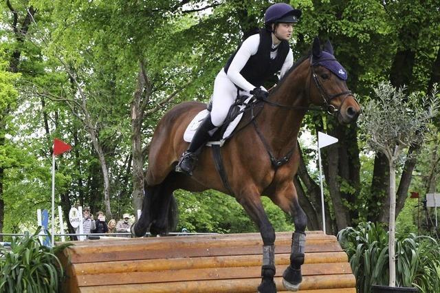 Egal ob Pony, groes Pferd oder Stecken