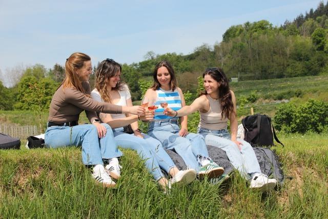 Beste Bedingungen bei der Btzinger Weinwanderung