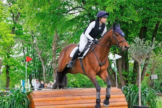 Reiter in Neuenburg: Egal ob auf Pony, groem Pferd oder Stecken