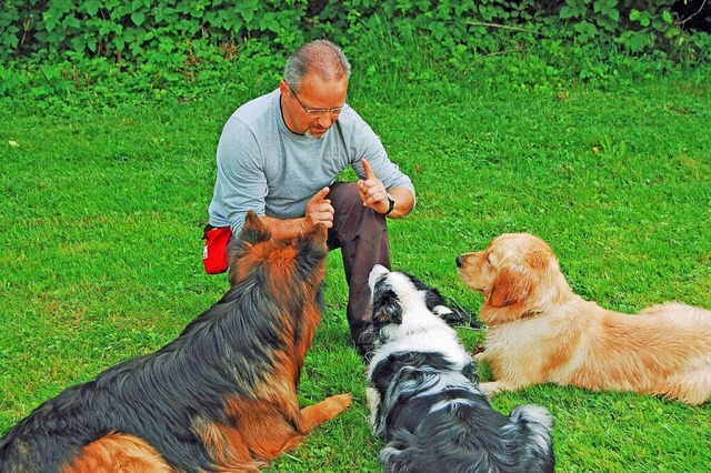 Hundetrainer Thomas Müller mit einigen seiner „Schüler“. | Foto: Müller Hundetrainer Thomas Müller mit einigen seiner „Schüler“. | Foto: Müller