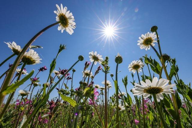 Sommerliche Temperaturen in Baden-Wrttemberg – viel Sonne und bis zu 29 Grad am 1. Mai