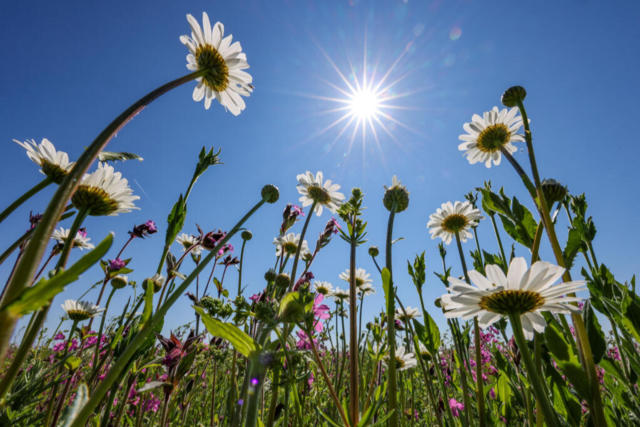 Sommerliche Temperaturen - viel Sonne und bis zu 29 Grad am 1. Mai