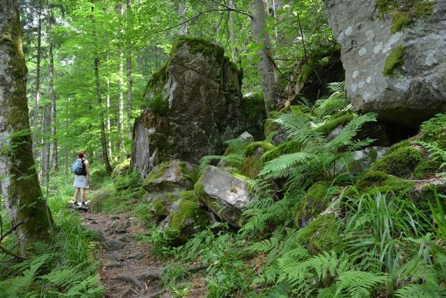 Die schnsten Wanderwege fr den 1. Mai