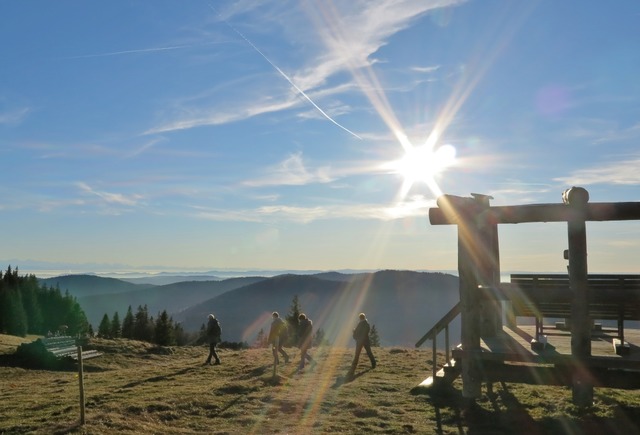 Der Sonne entgegen auf dem Bernauer Hochtalsteig | Foto: Ute Maier Der Sonne entgegen auf dem Bernauer Hochtalsteig | Foto: Ute Maier