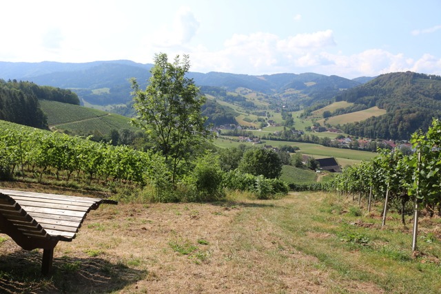 Pausenplatz mit Blick auf's Glottertal | Foto: Karin Heß Pausenplatz mit Blick auf's Glottertal | Foto: Karin Heß