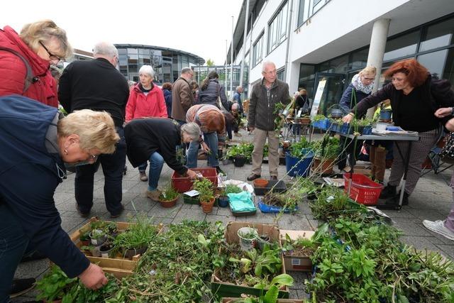 Die Pflanzentauschbrse in Efringen-Kirchen begeistert Hobby-Grtnerinnen und Grtner