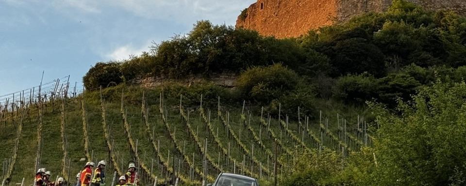 Auto hngt in Hecklingen an steilem Weinberg unterhalb der Burg Lichteneck fest