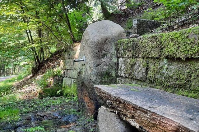 Die Friesenheimer Waldquellen und Brunnen sprudeln – noch
