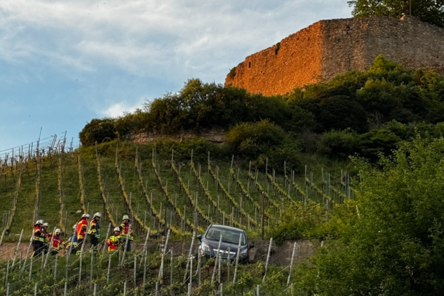 Auto hngt in Hecklingen an steilem Weinberg unterhalb der Burg Lichteneck fest