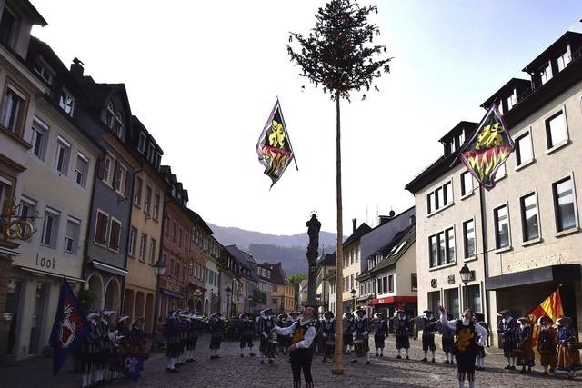 Maiwecken