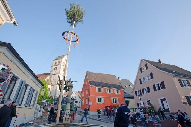 Festtermine in Hlle und Flle – Maibaumstellen und 1.-Mai-Hocks im Markgrflerland